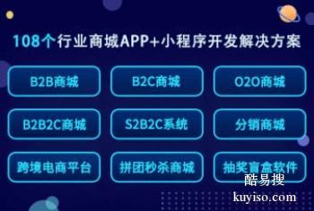 成都网站外包公司网页设计软件开发APP定制推广营销系统